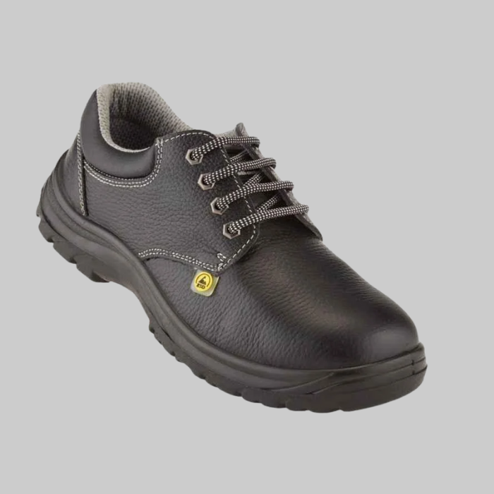 ESD Footwear Exporter in India